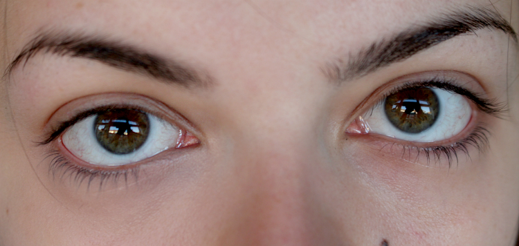 collection concealer 5