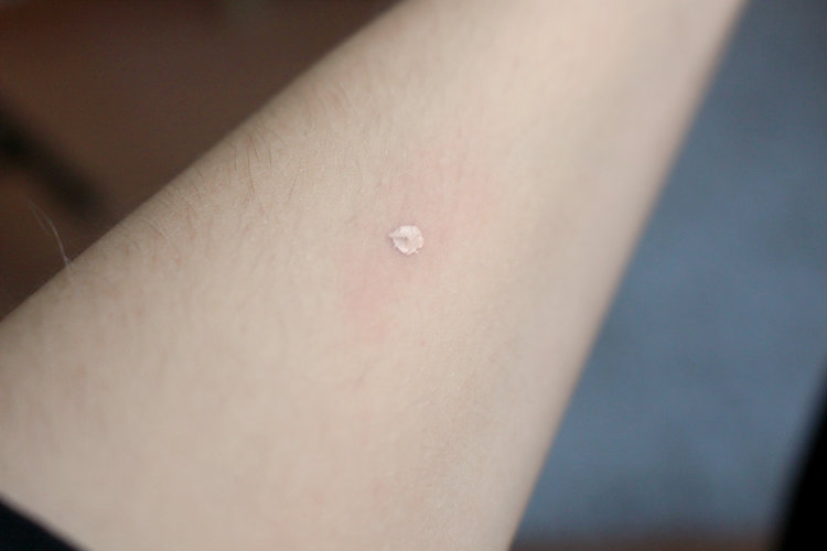 collection concealer 7