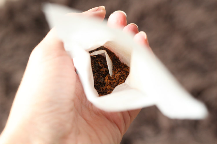 pumpkin spice chai 2