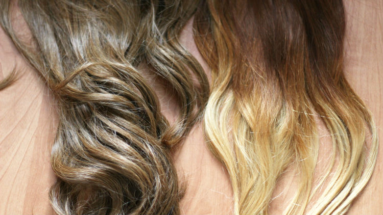 extension buyers guide 7