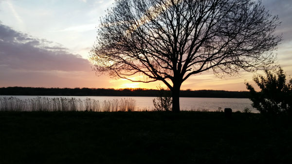 Work work work | Loepsie’s Life