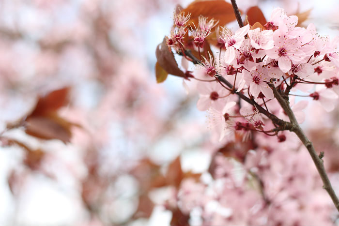 What Now? Dealing With The Current Situation