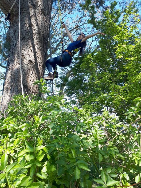 Climbing Trees | Loepsie’s Life