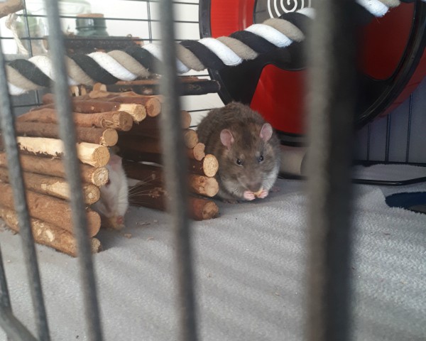 Catching Up | Loepsie’s Life