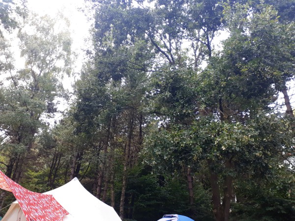 Discovering A New Hobby | Loepsie’s Life