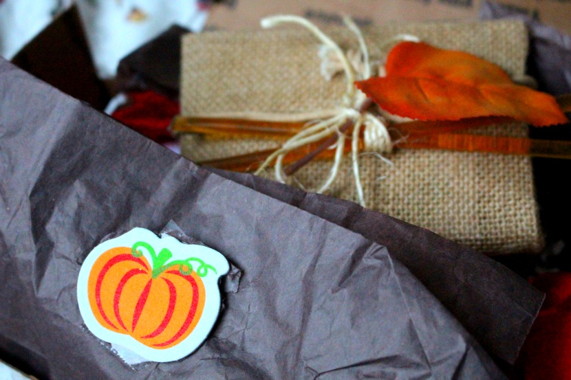 The Cozy Mug September Box