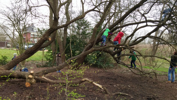 The Sun Is Shining | Loepsie’s Life