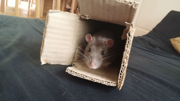 5 Years Together | Loepsie’s Life