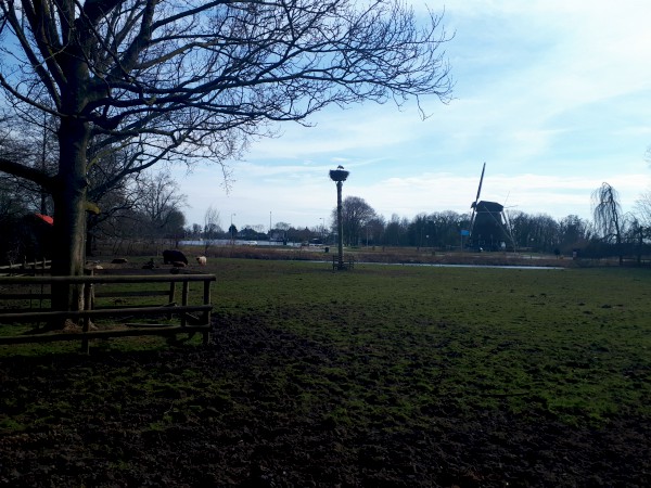 The One That Flew By | Loepsie’s Life