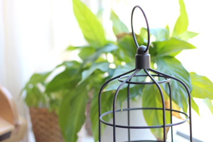 Small Balcony Decorating Inspiration