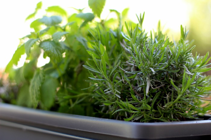 Our Balcony Makeover