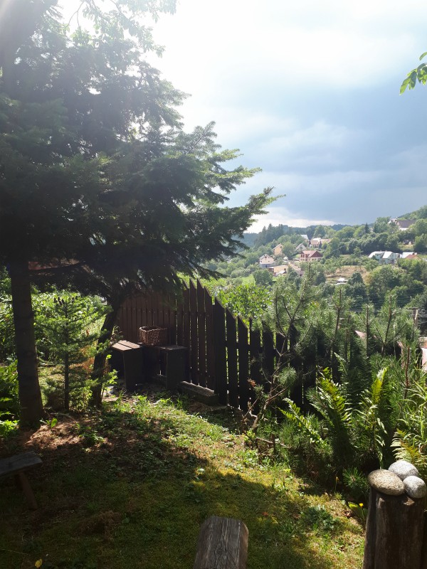 A Short Blogging Break