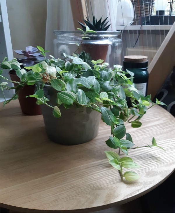 Winter Is Coming | Loepsie’s Life