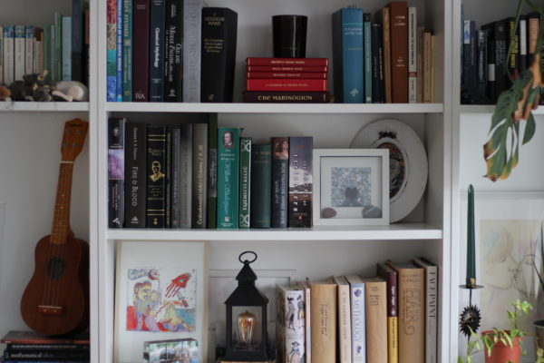 Bookshelf Tour